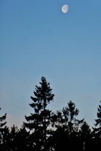 Rothaarsteig Mond