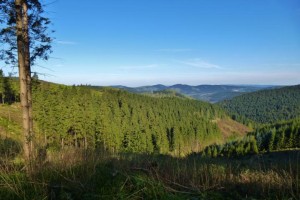 Rothaarsteig Ausblick