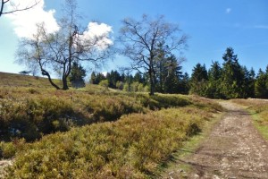 Rothaarsteig Kahler Asten
