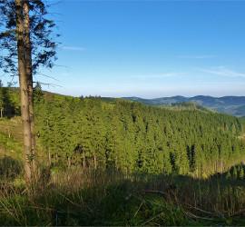 Rothaarsteig