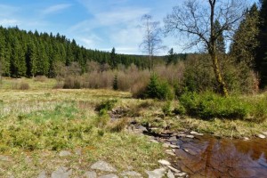 Schwarzbach Idylle