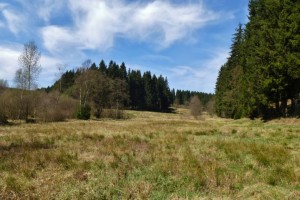 Schwarzbachtal