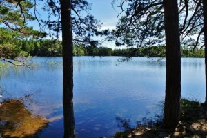 Tjustleden See
