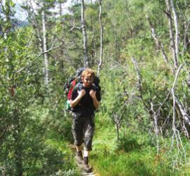 PCT 2015